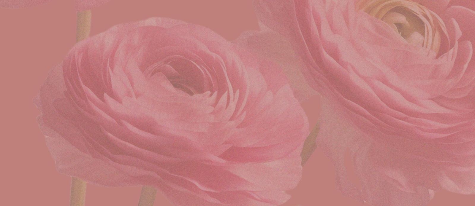 Image Slider